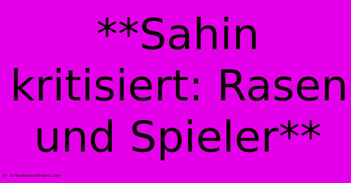 **Sahin Kritisiert: Rasen Und Spieler**