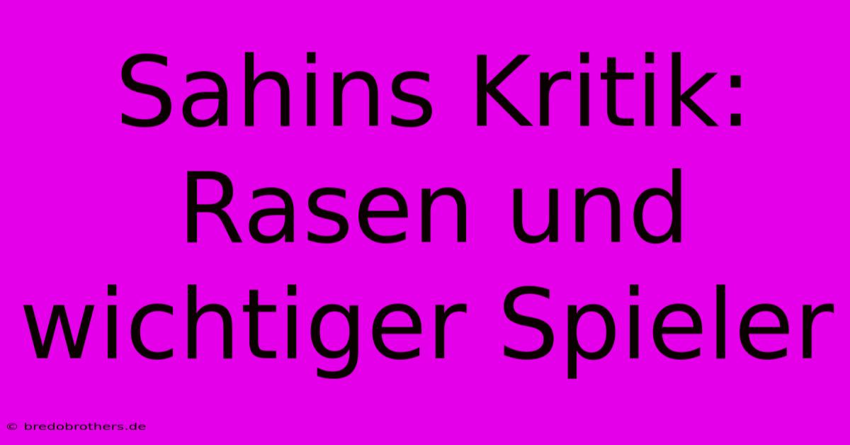 Sahins Kritik: Rasen Und Wichtiger Spieler