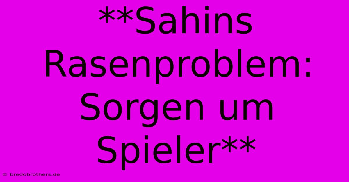 **Sahins Rasenproblem: Sorgen Um Spieler**