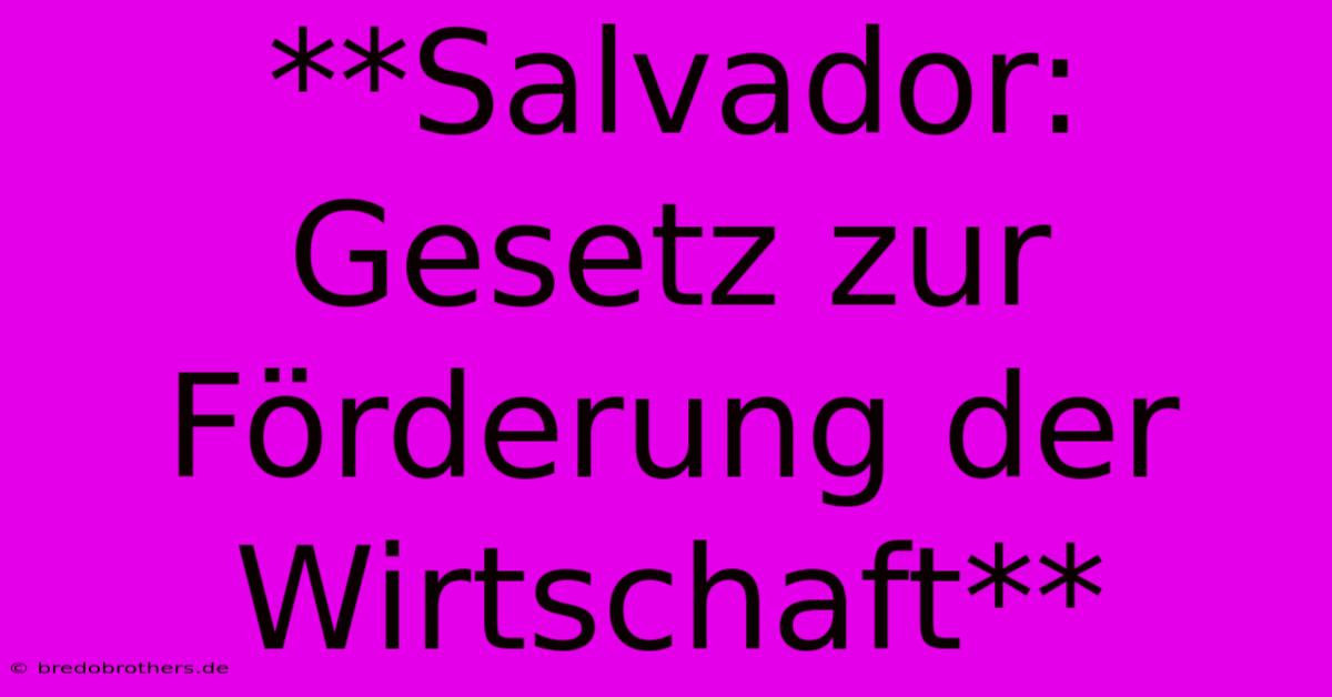 **Salvador:  Gesetz Zur Förderung Der Wirtschaft**