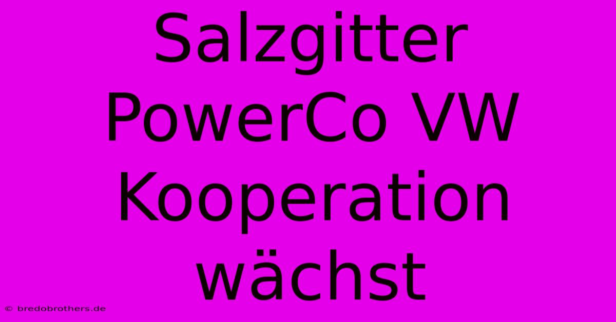 Salzgitter PowerCo VW Kooperation Wächst