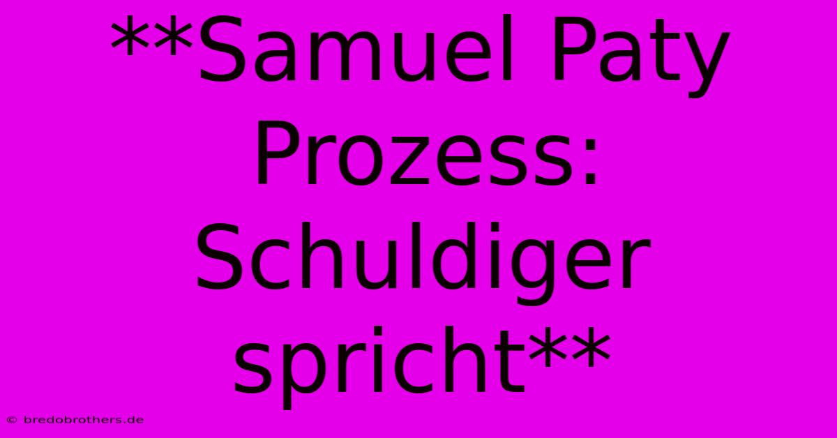 **Samuel Paty Prozess: Schuldiger Spricht**