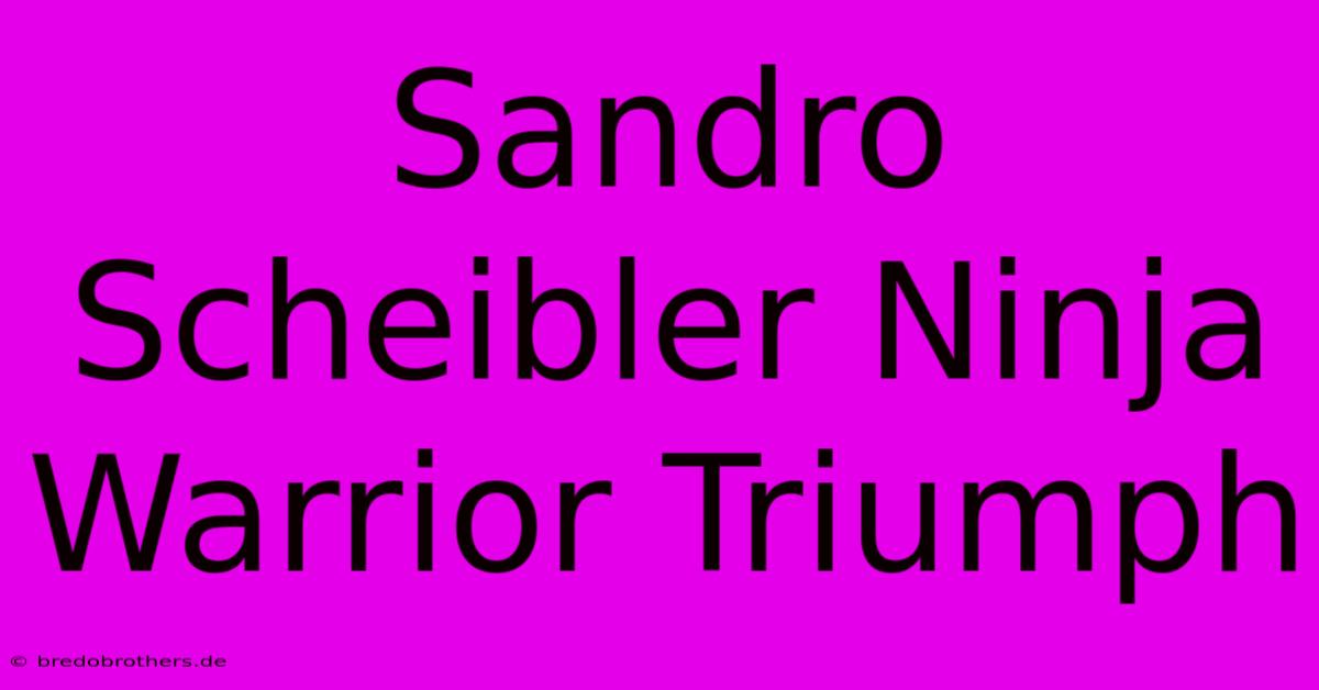 Sandro Scheibler Ninja Warrior Triumph