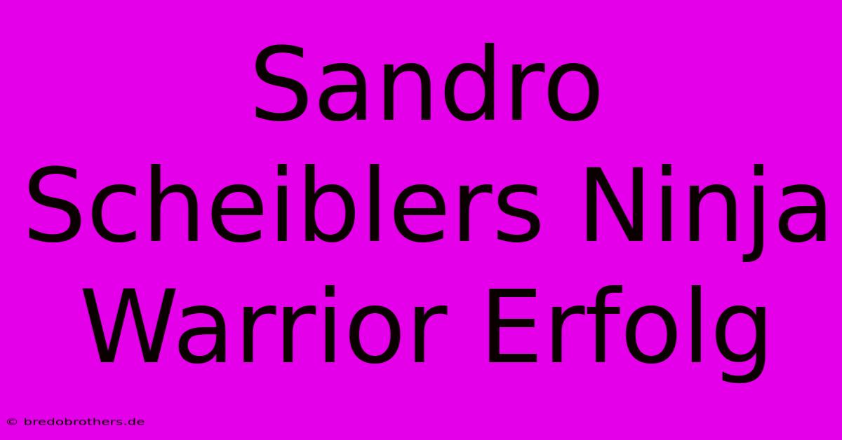 Sandro Scheiblers Ninja Warrior Erfolg