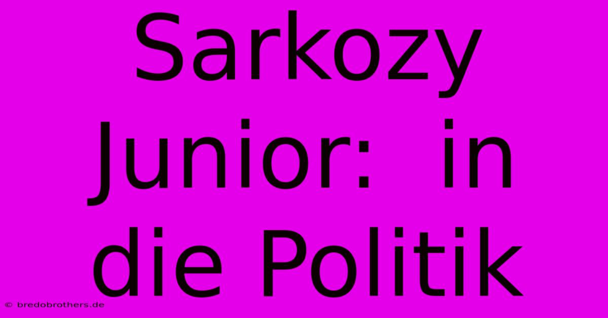 Sarkozy Junior:  In Die Politik