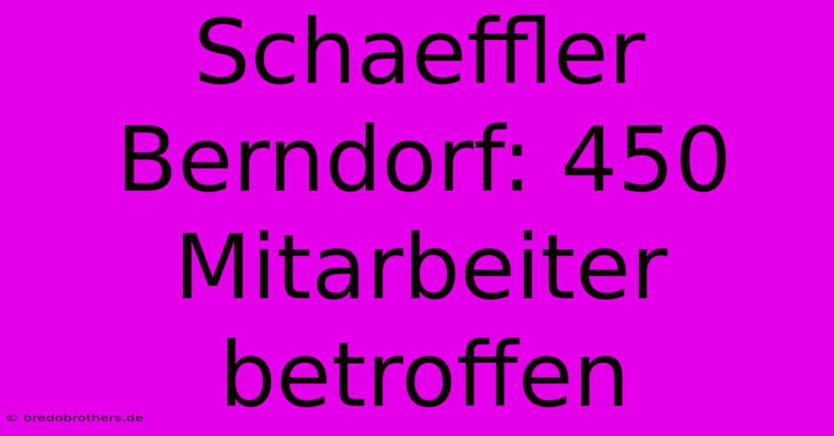 Schaeffler Berndorf: 450 Mitarbeiter Betroffen