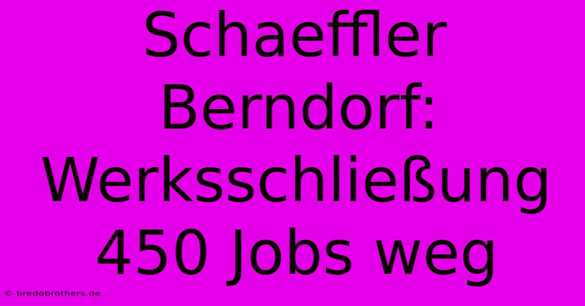 Schaeffler Berndorf: Werksschließung 450 Jobs Weg