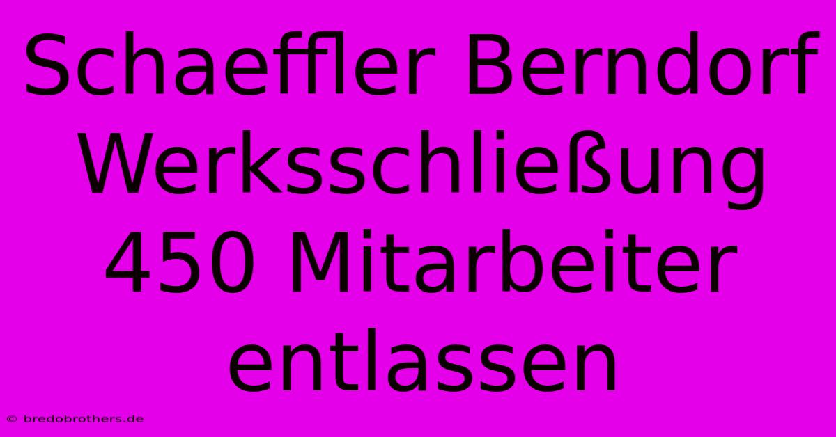 Schaeffler Berndorf Werksschließung 450 Mitarbeiter Entlassen