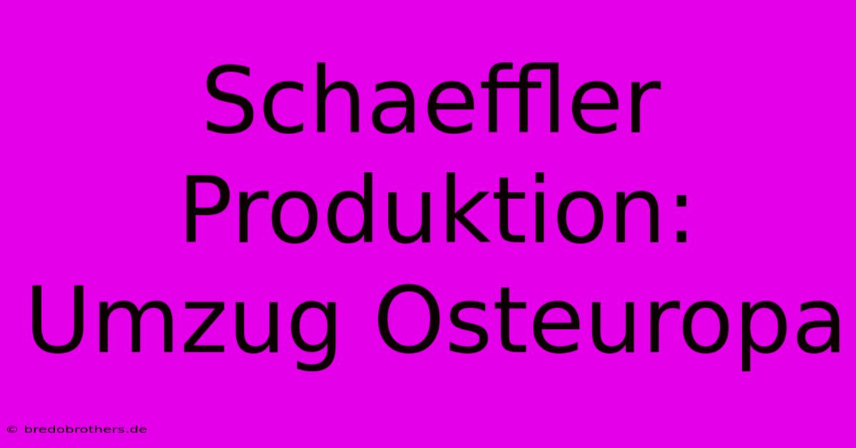 Schaeffler Produktion: Umzug Osteuropa