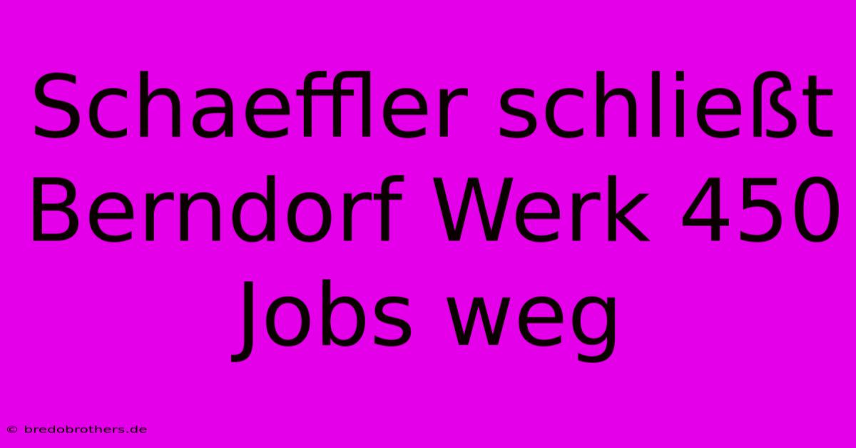 Schaeffler Schließt Berndorf Werk 450 Jobs Weg