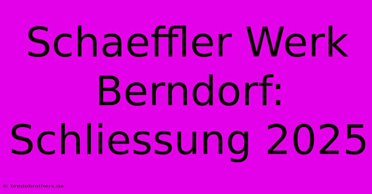 Schaeffler Werk Berndorf: Schliessung 2025