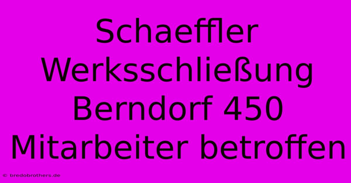 Schaeffler Werksschließung Berndorf 450 Mitarbeiter Betroffen