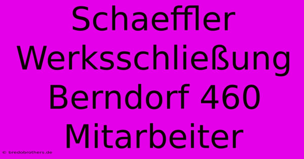 Schaeffler Werksschließung Berndorf 460 Mitarbeiter