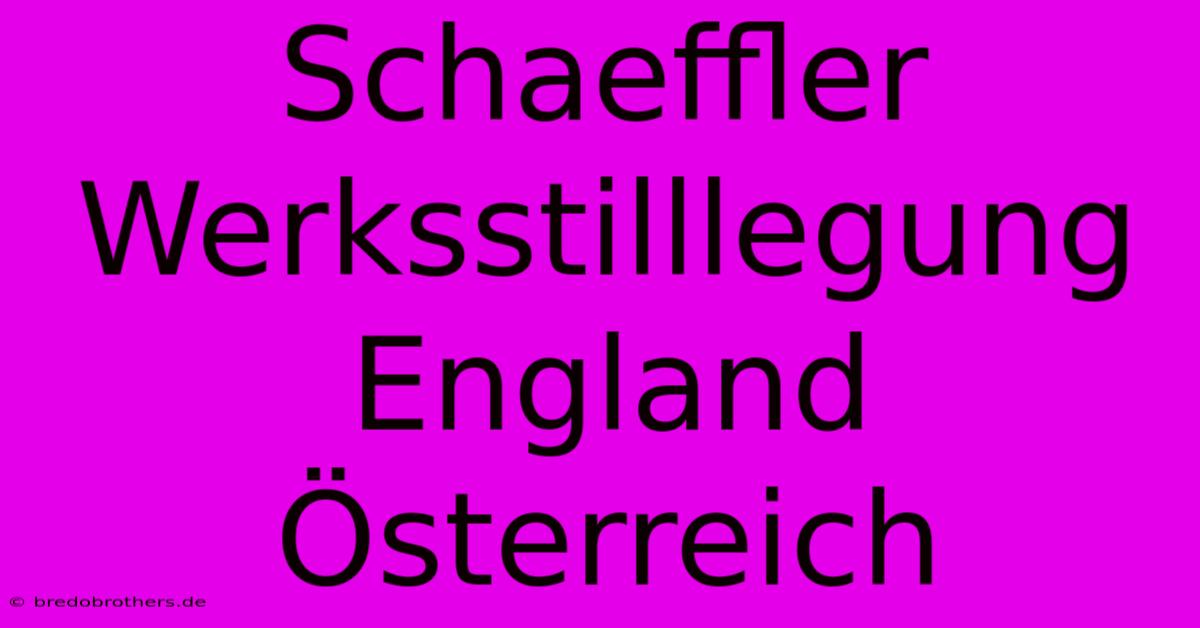 Schaeffler Werksstilllegung England Österreich