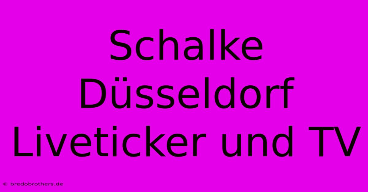 Schalke Düsseldorf Liveticker Und TV