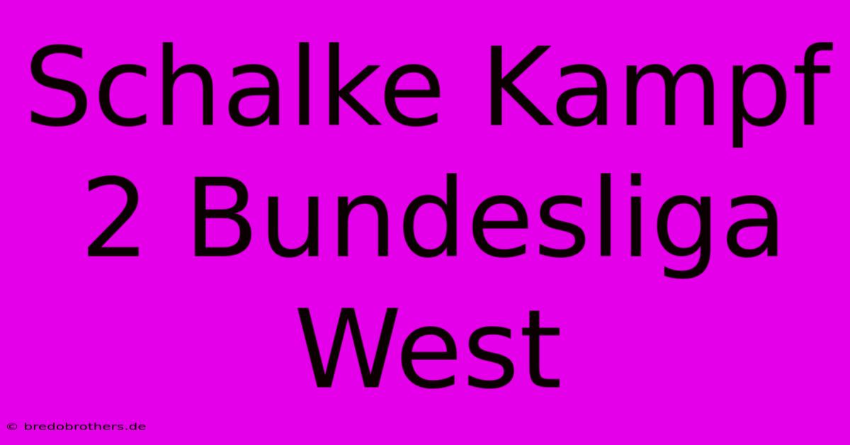 Schalke Kampf 2 Bundesliga West