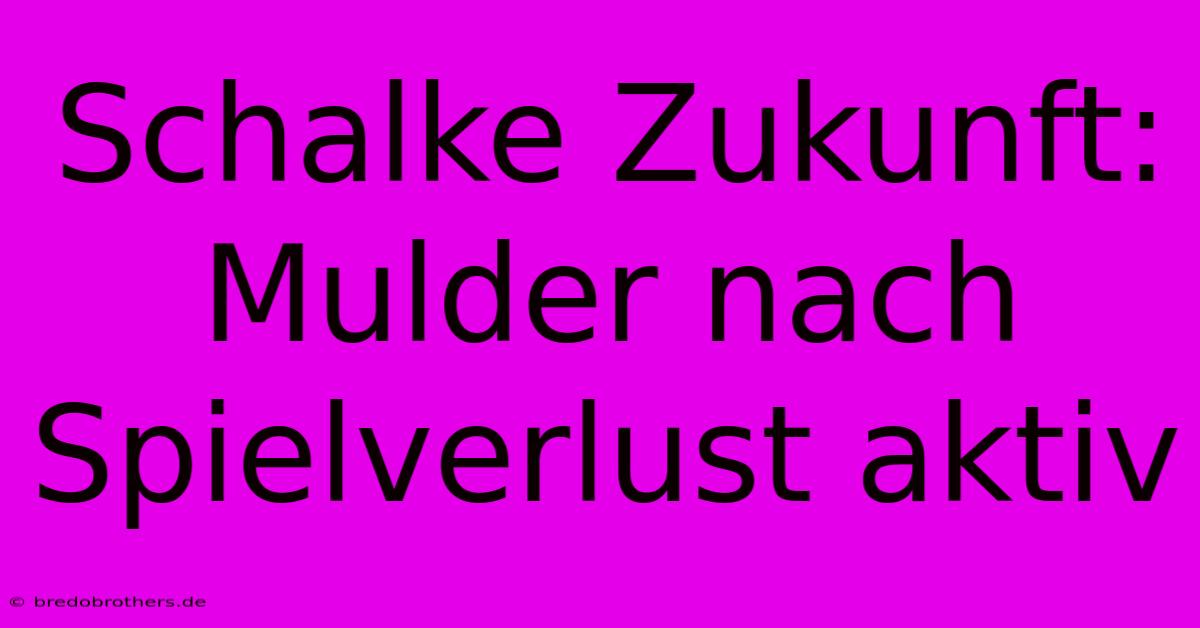 Schalke Zukunft: Mulder Nach Spielverlust Aktiv