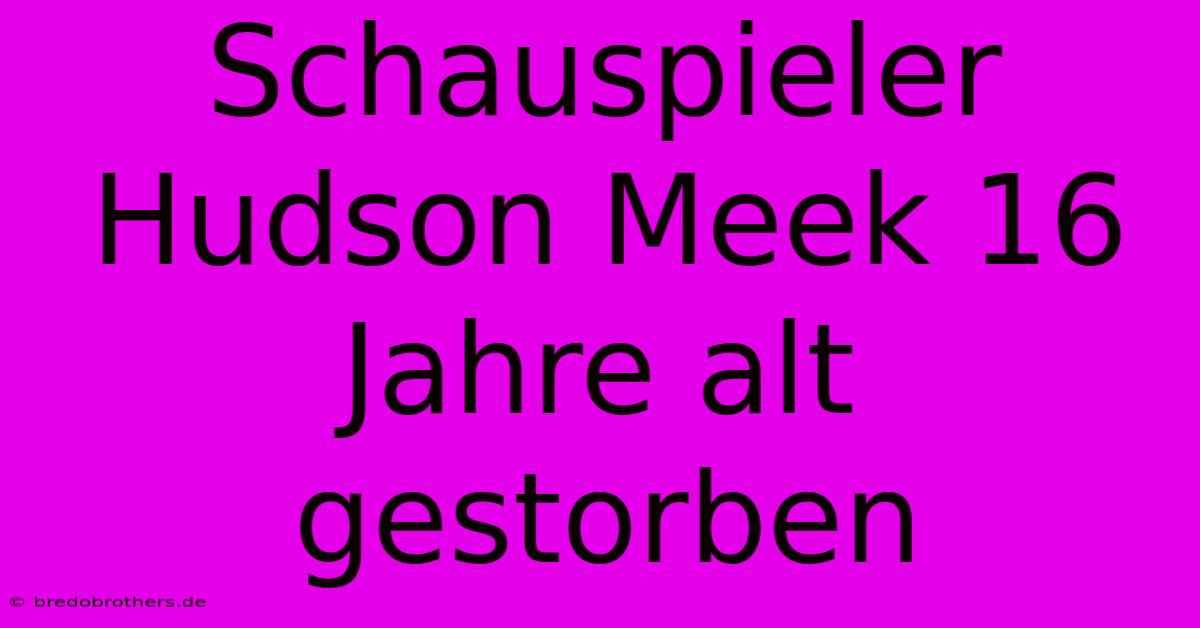 Schauspieler Hudson Meek 16 Jahre Alt Gestorben