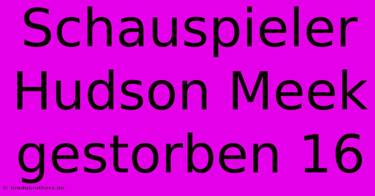 Schauspieler Hudson Meek Gestorben 16