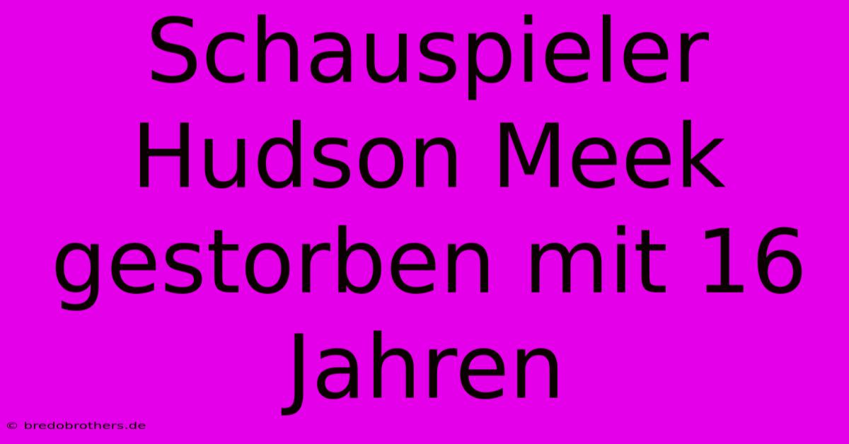 Schauspieler Hudson Meek Gestorben Mit 16 Jahren