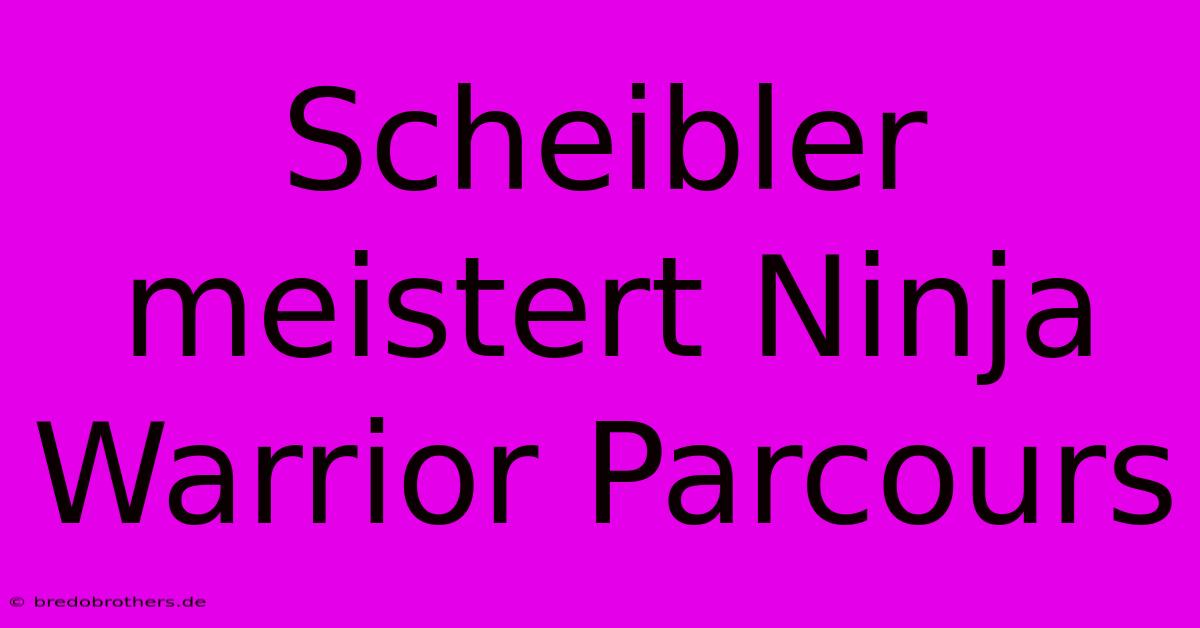 Scheibler Meistert Ninja Warrior Parcours