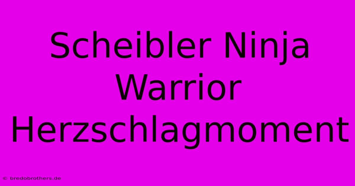 Scheibler Ninja Warrior Herzschlagmoment