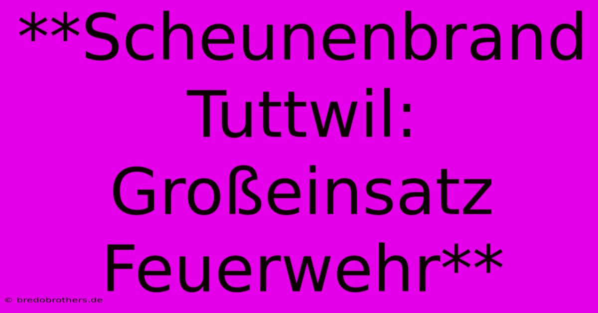 **Scheunenbrand Tuttwil: Großeinsatz Feuerwehr**