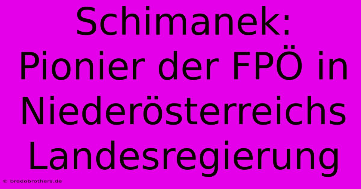 Schimanek: Pionier Der FPÖ In Niederösterreichs Landesregierung