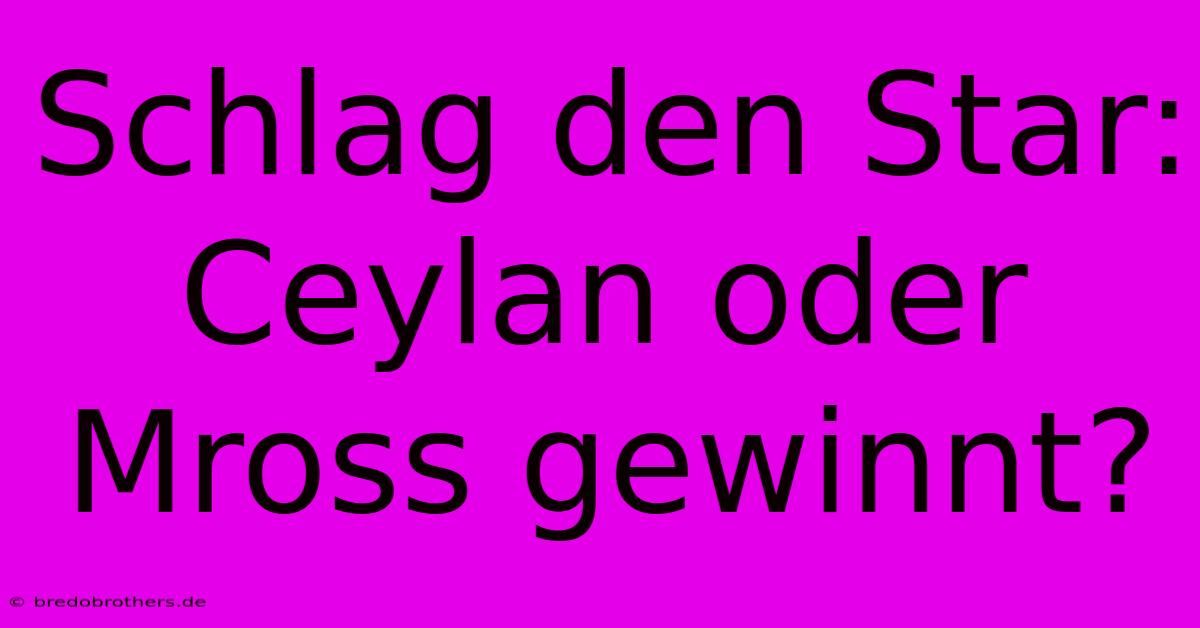 Schlag Den Star: Ceylan Oder Mross Gewinnt?