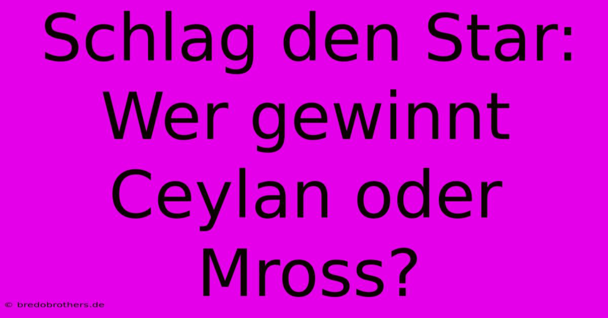 Schlag Den Star: Wer Gewinnt Ceylan Oder Mross?