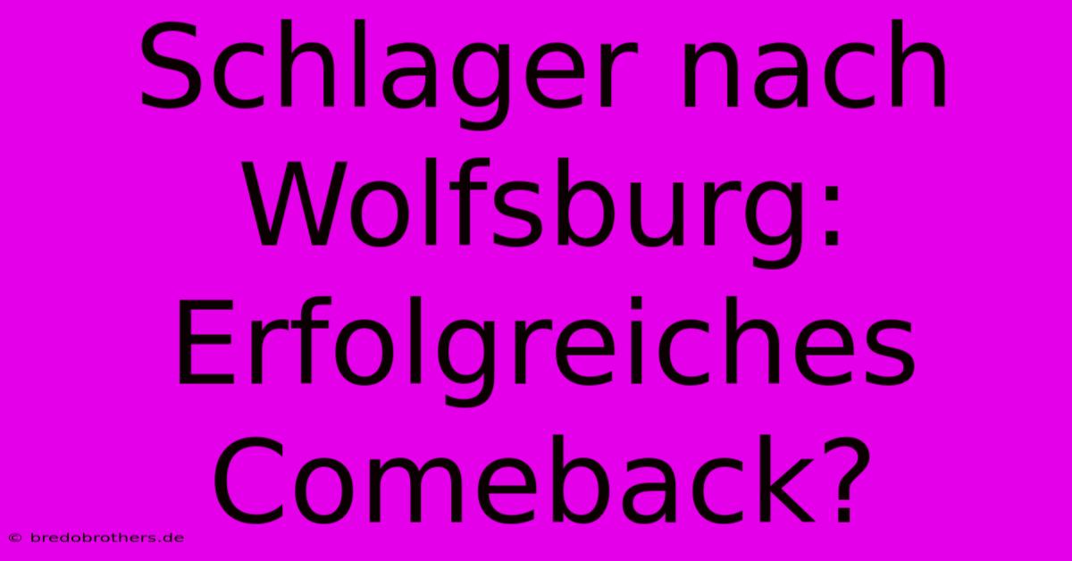 Schlager Nach Wolfsburg:  Erfolgreiches Comeback?