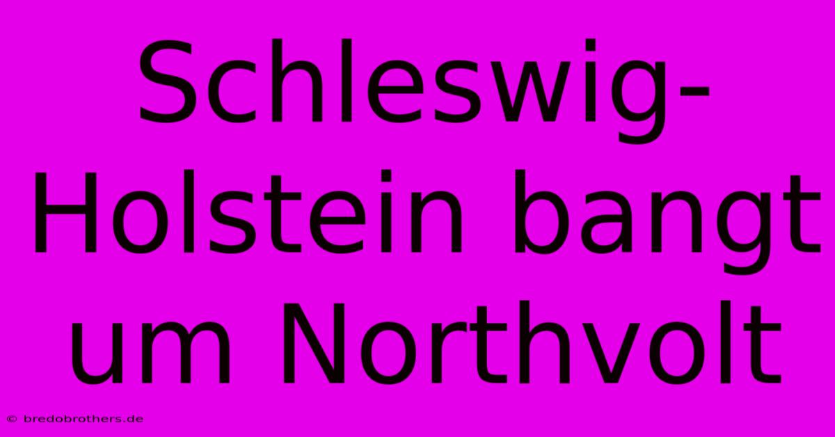 Schleswig-Holstein Bangt Um Northvolt