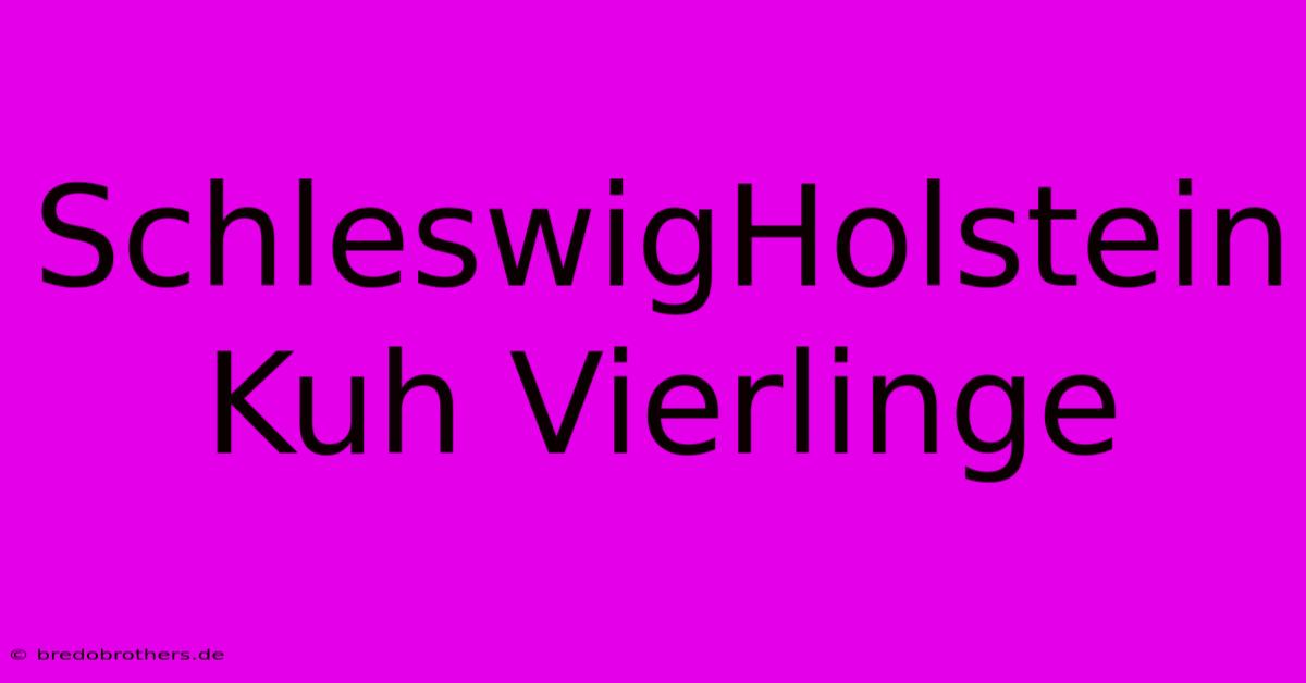 SchleswigHolstein Kuh Vierlinge