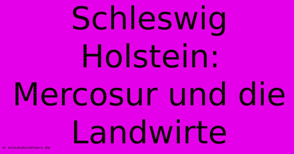 Schleswig Holstein: Mercosur Und Die Landwirte