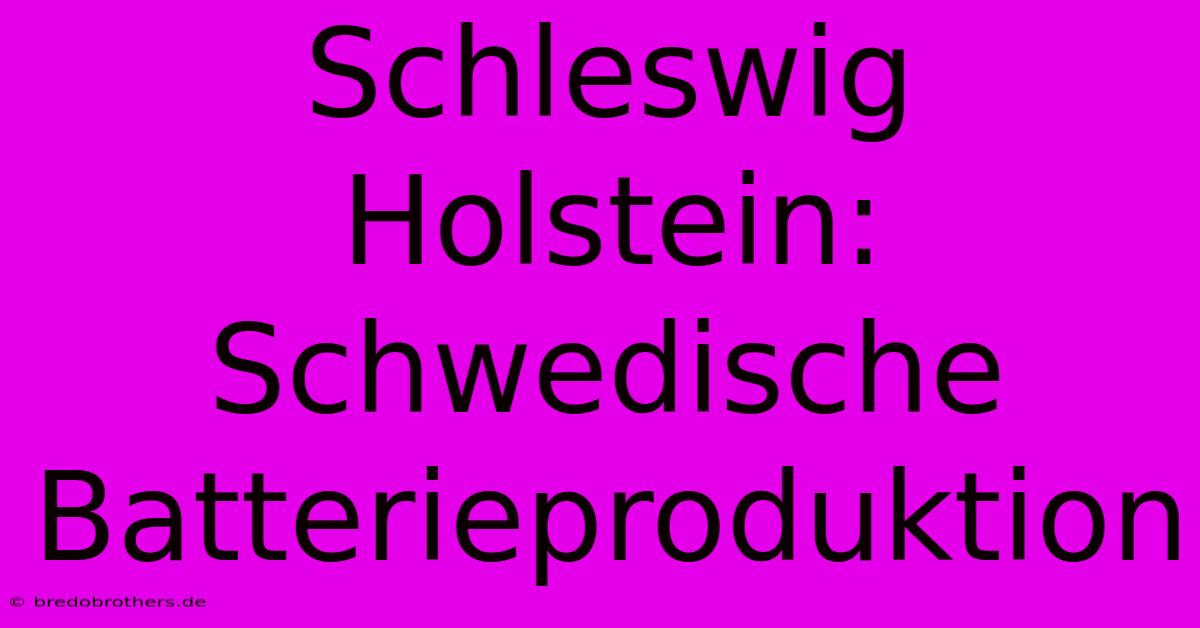 Schleswig Holstein: Schwedische Batterieproduktion