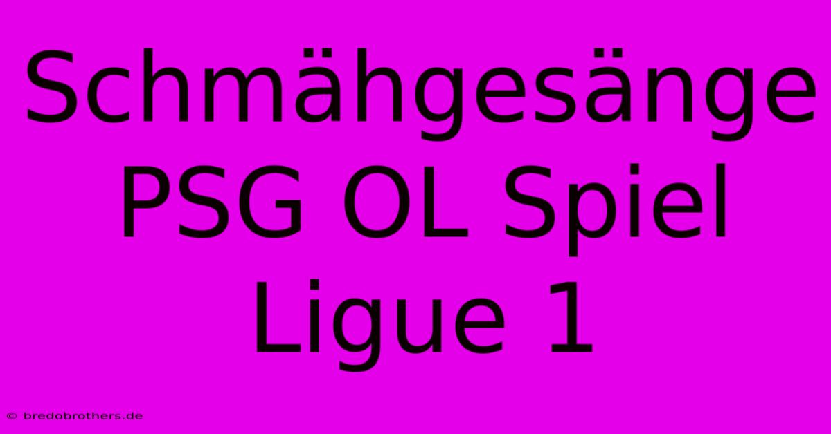 Schmähgesänge  PSG OL Spiel Ligue 1