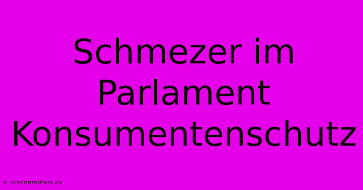 Schmezer Im Parlament Konsumentenschutz