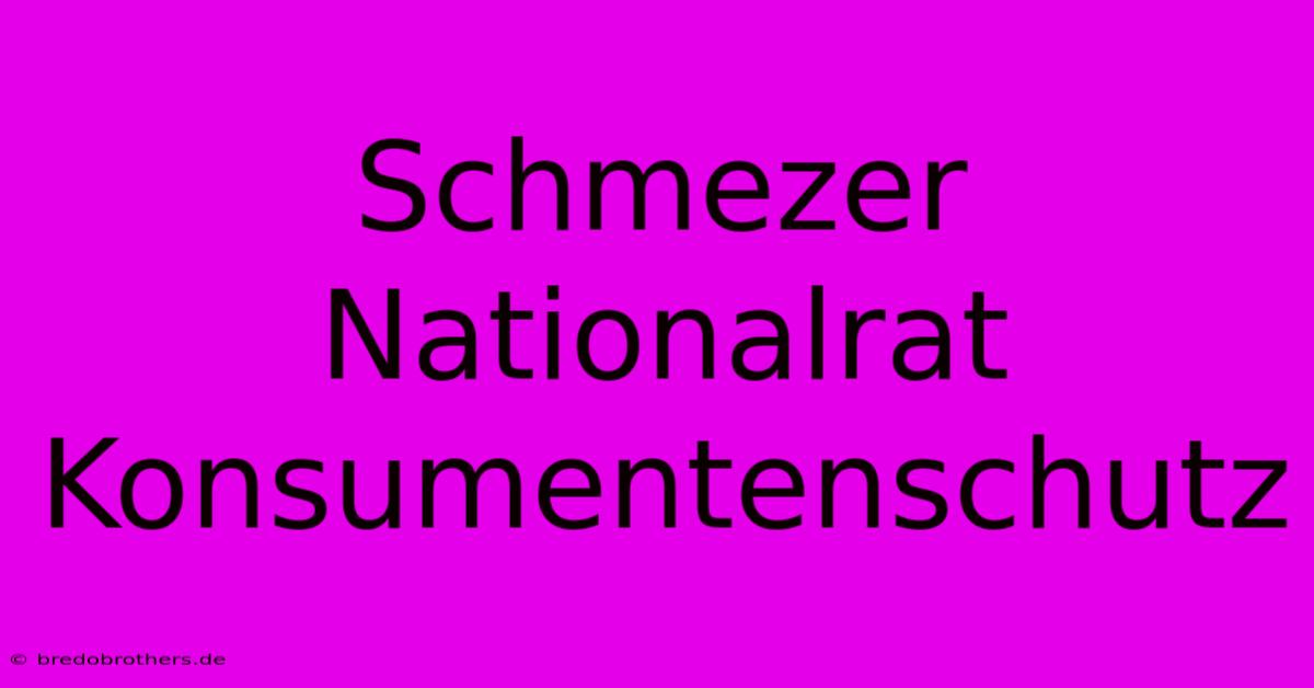 Schmezer Nationalrat Konsumentenschutz