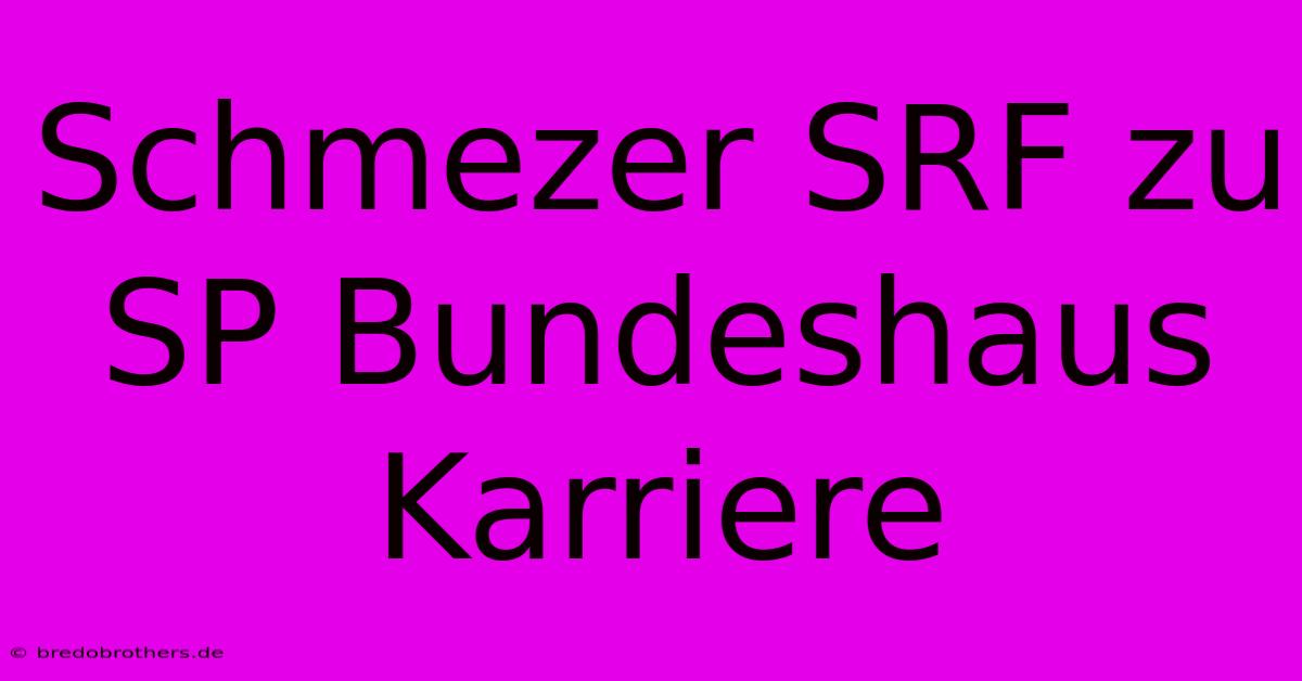 Schmezer SRF Zu SP Bundeshaus Karriere