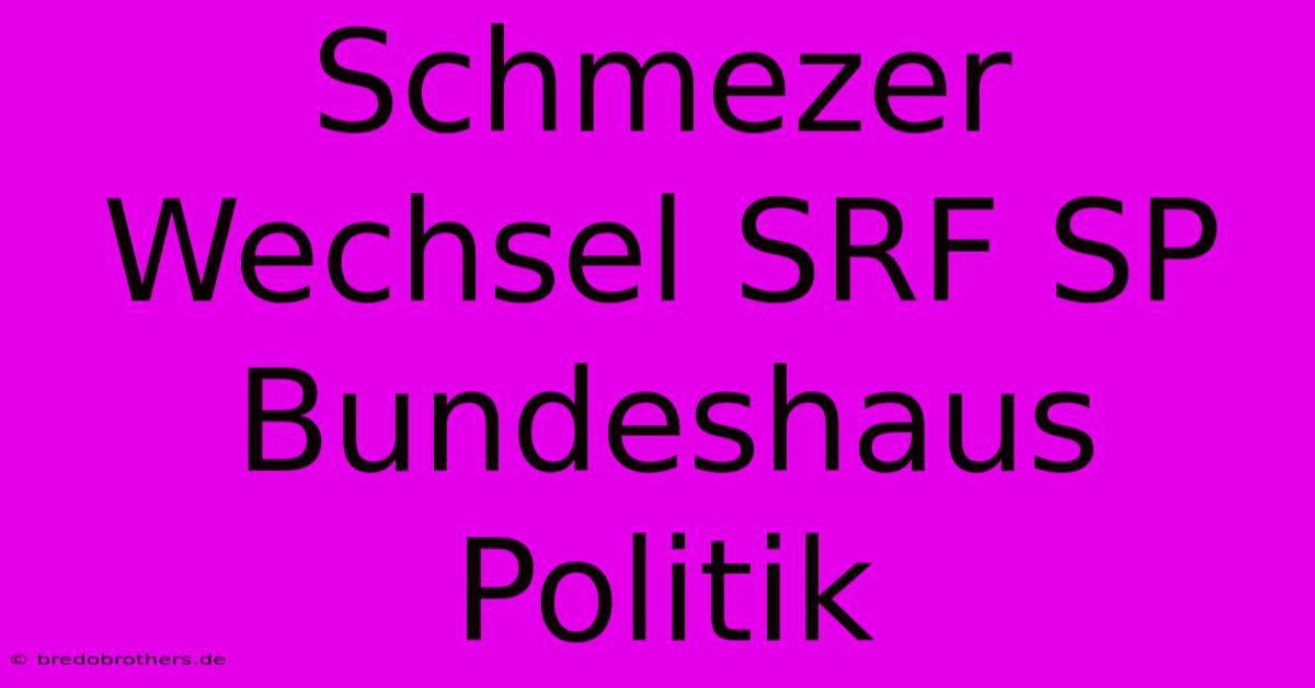 Schmezer Wechsel SRF SP Bundeshaus Politik