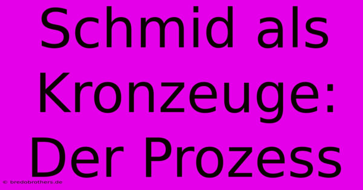 Schmid Als Kronzeuge:  Der Prozess