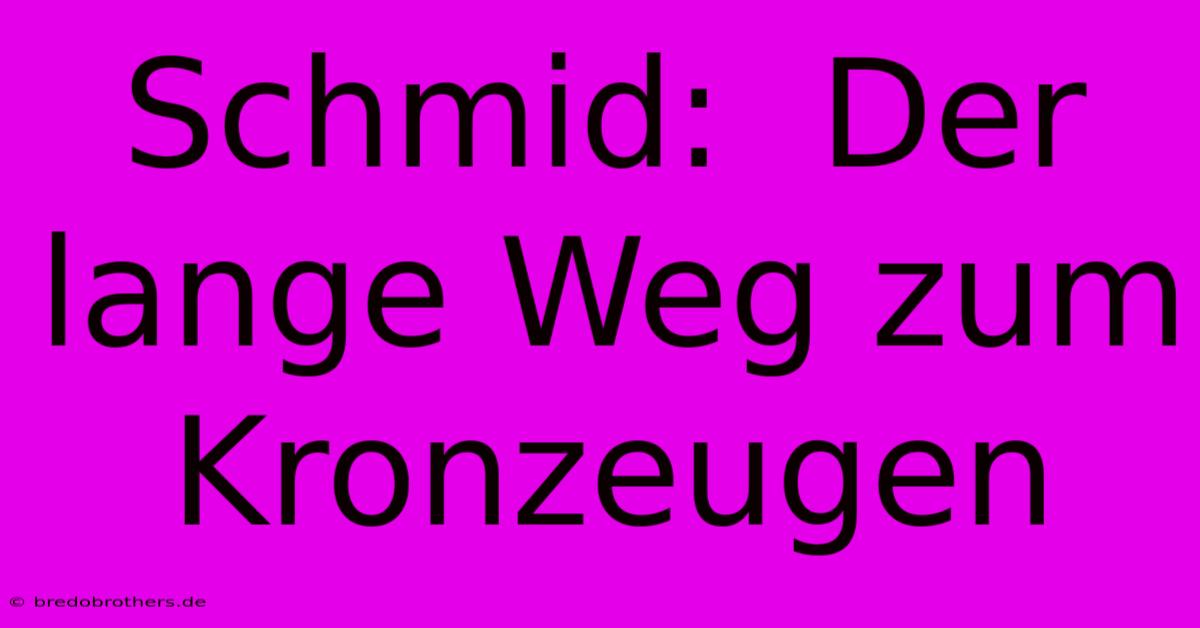 Schmid:  Der Lange Weg Zum Kronzeugen