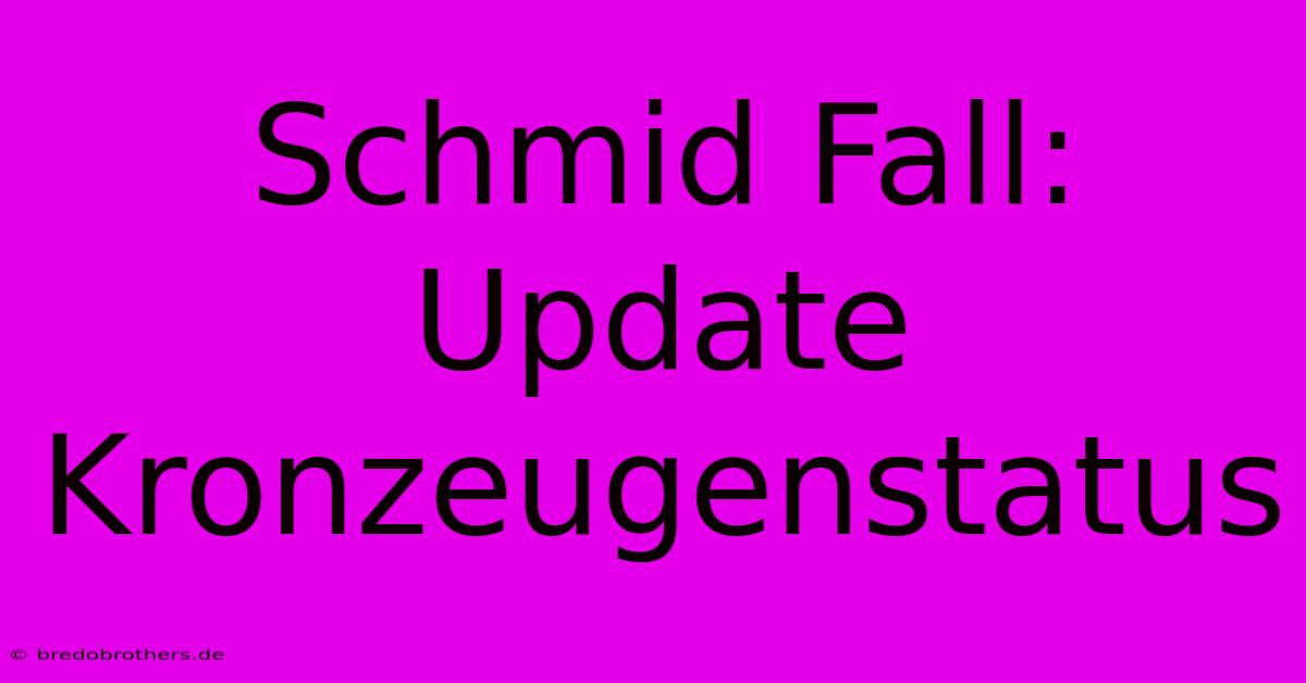 Schmid Fall: Update Kronzeugenstatus