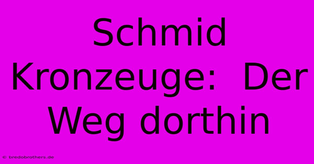 Schmid Kronzeuge:  Der Weg Dorthin