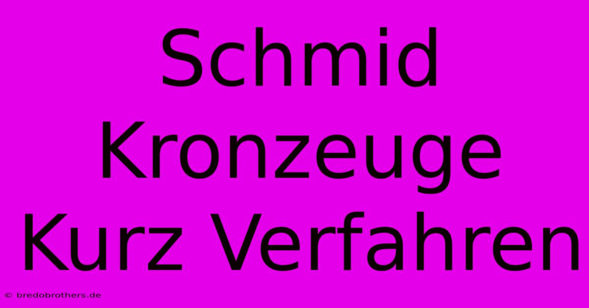 Schmid Kronzeuge Kurz Verfahren