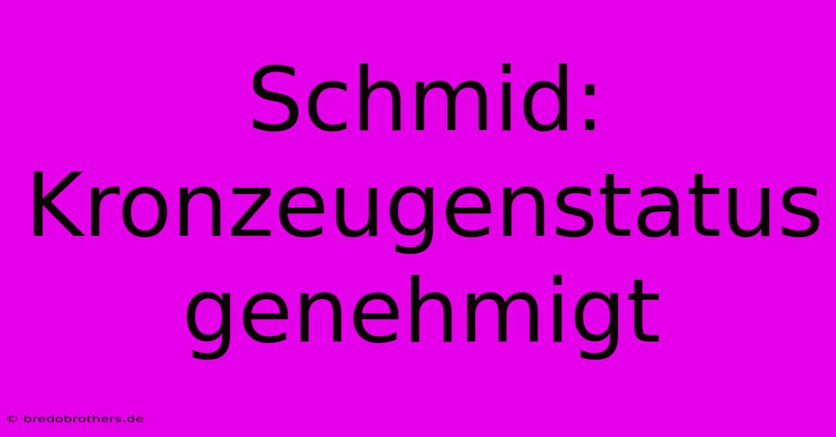 Schmid: Kronzeugenstatus Genehmigt