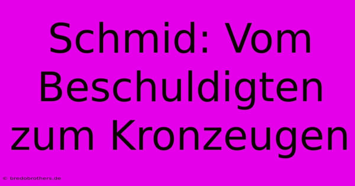 Schmid: Vom Beschuldigten Zum Kronzeugen