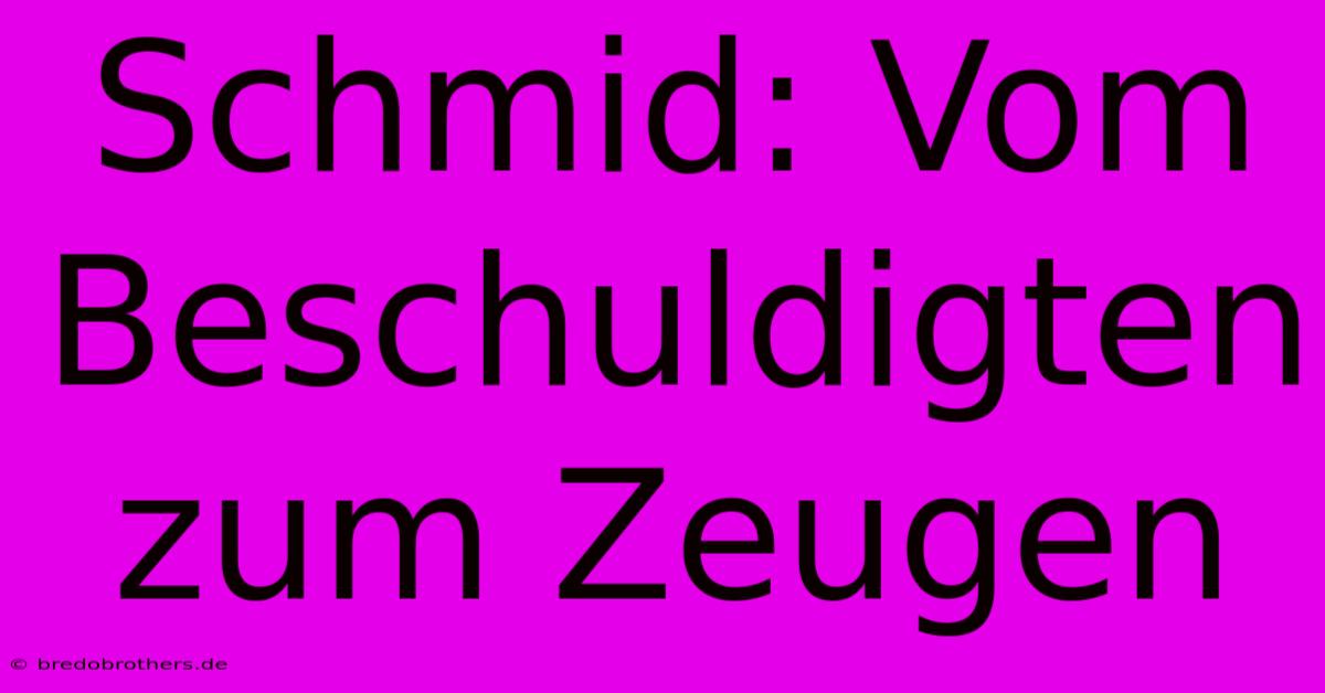 Schmid: Vom Beschuldigten Zum Zeugen