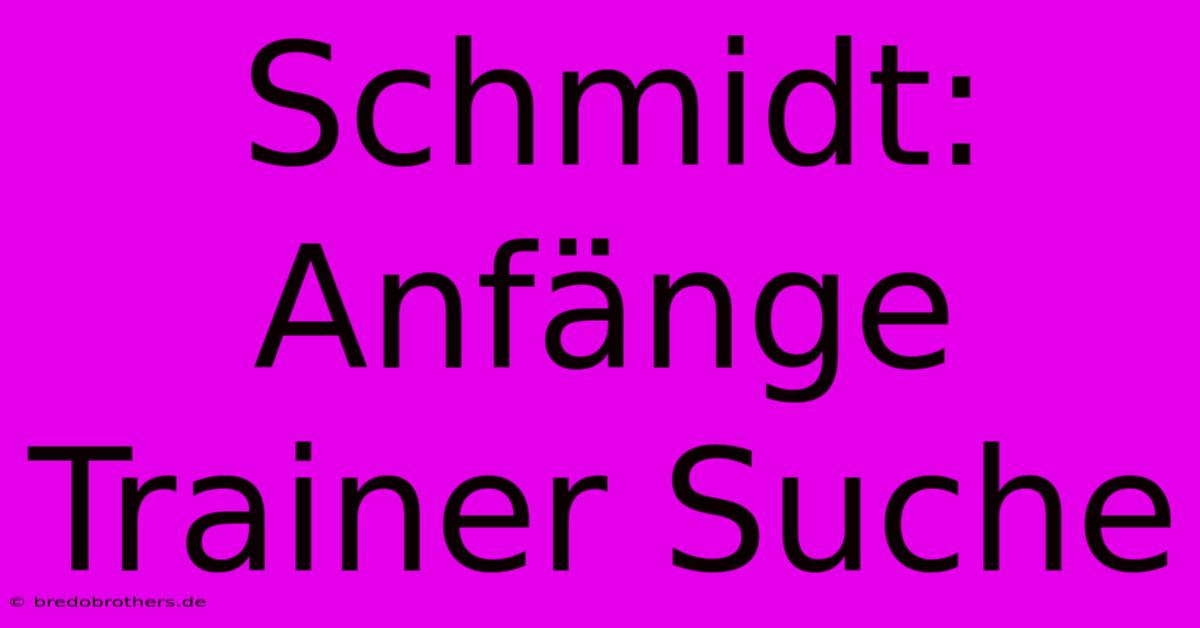 Schmidt: Anfänge Trainer Suche