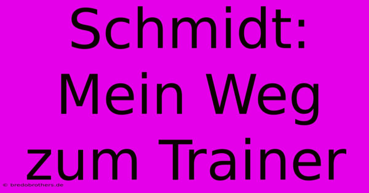 Schmidt: Mein Weg Zum Trainer